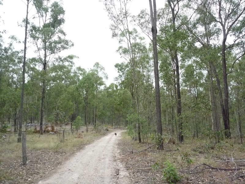 L56 Marule Road, Booyal QLD 4671