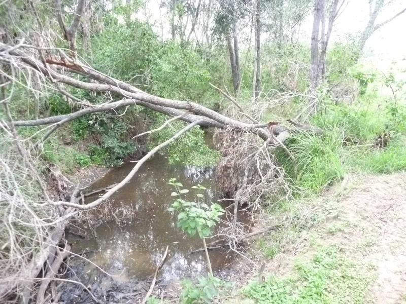 L56 Marule Road, Booyal QLD 4671