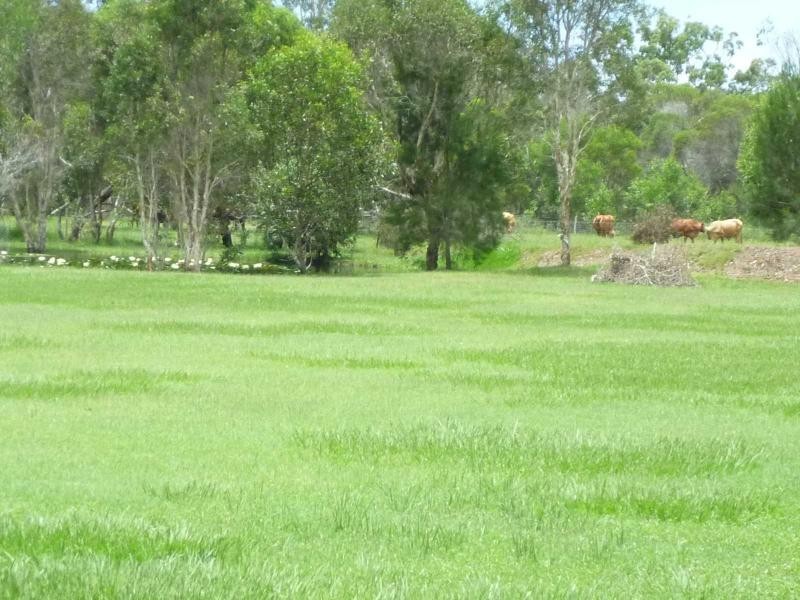 1686 Buxton Road, Buxton QLD 4660