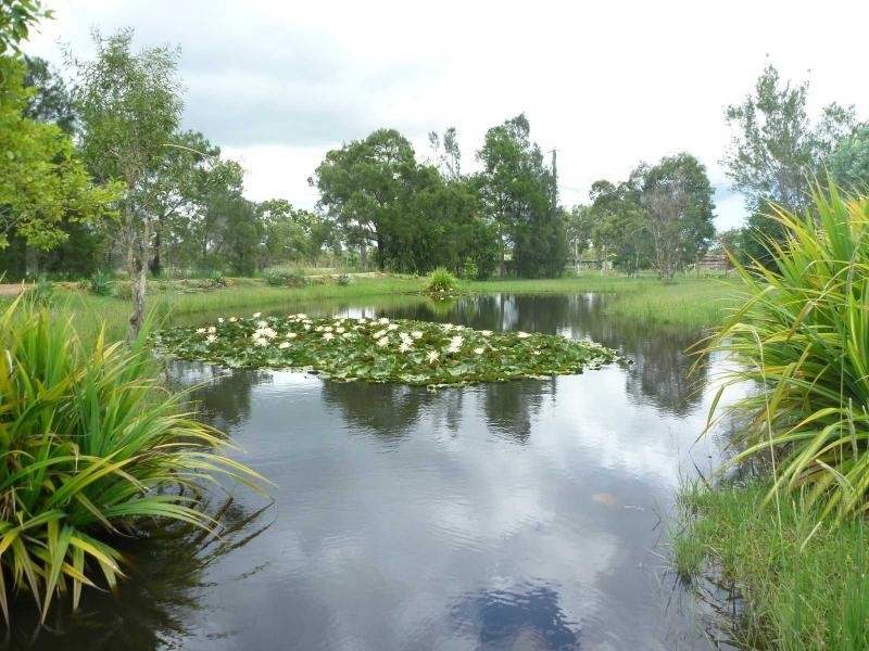1686 Buxton Road, Buxton QLD 4660