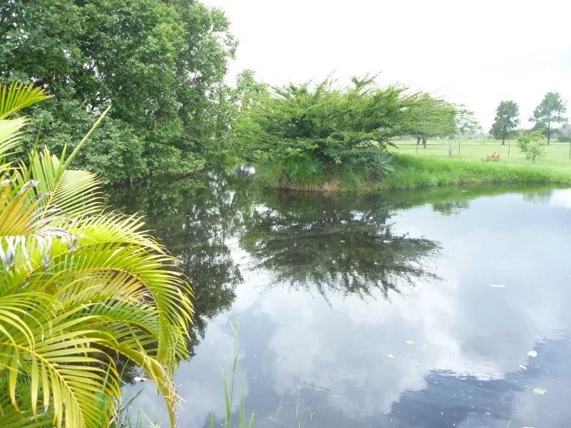 1686 Buxton Road, Buxton QLD 4660