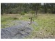 626 Ringwood Road, Booyal QLD 4671