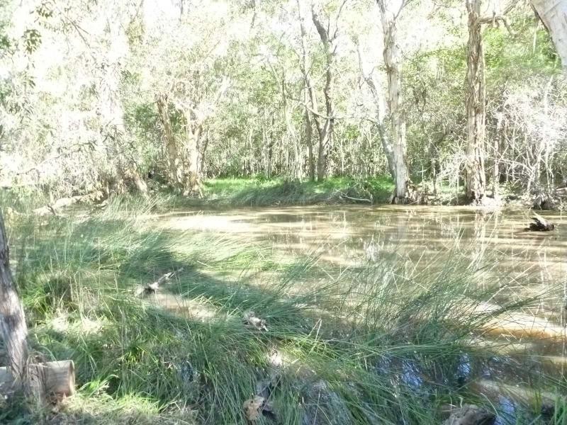 17 Meleleuca Court, Redridge QLD 4660