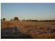 Proposed Lot 27 Old Creek Road, Apple Tree Creek QLD 4660
