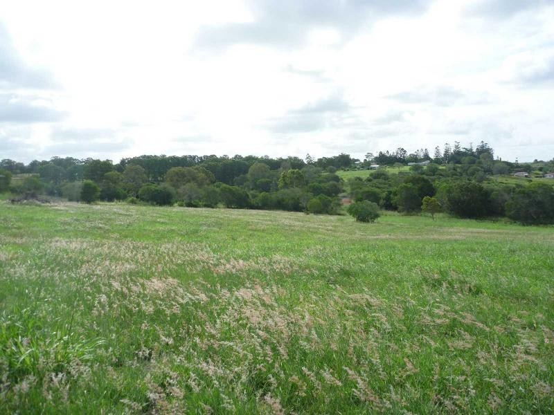 Proposed Lot 27 Old Creek Road, Apple Tree Creek QLD 4660