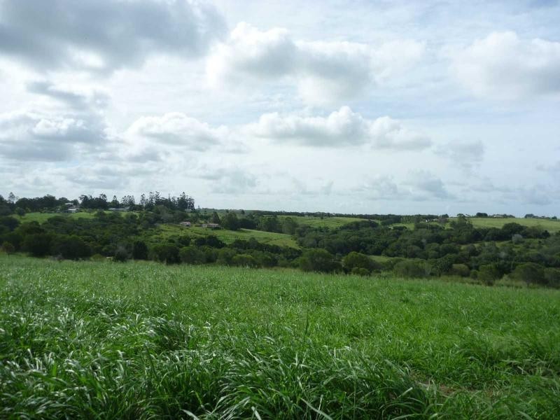 Proposed Lot 27 Old Creek Road, Apple Tree Creek QLD 4660