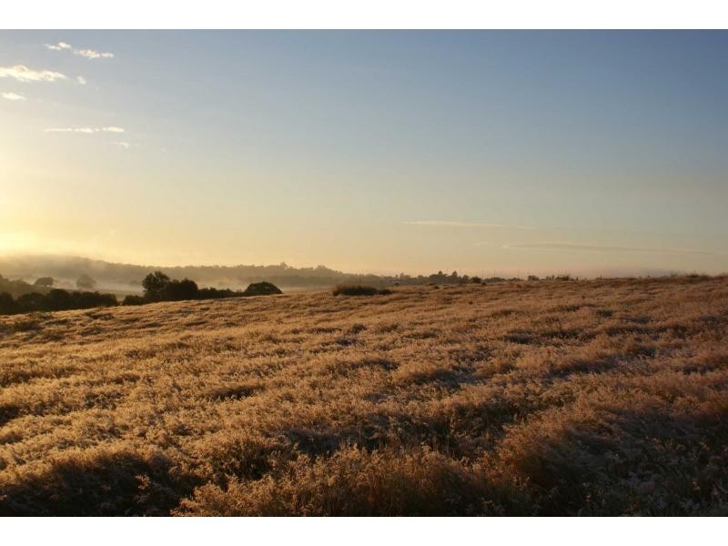 Proposed Lot 27 Old Creek Road, Apple Tree Creek QLD 4660