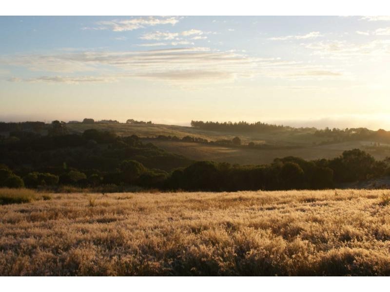 Proposed Lot 27 Old Creek Road, Apple Tree Creek QLD 4660