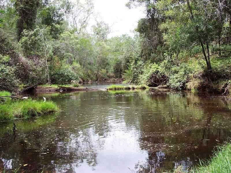 125 Park Avenue, Abington, Childers QLD 4660