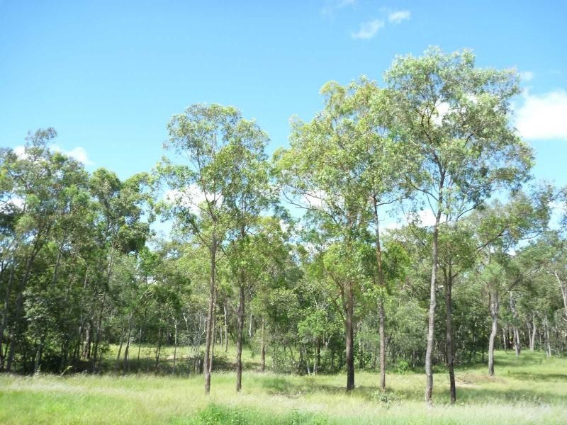 Childers QLD 4660