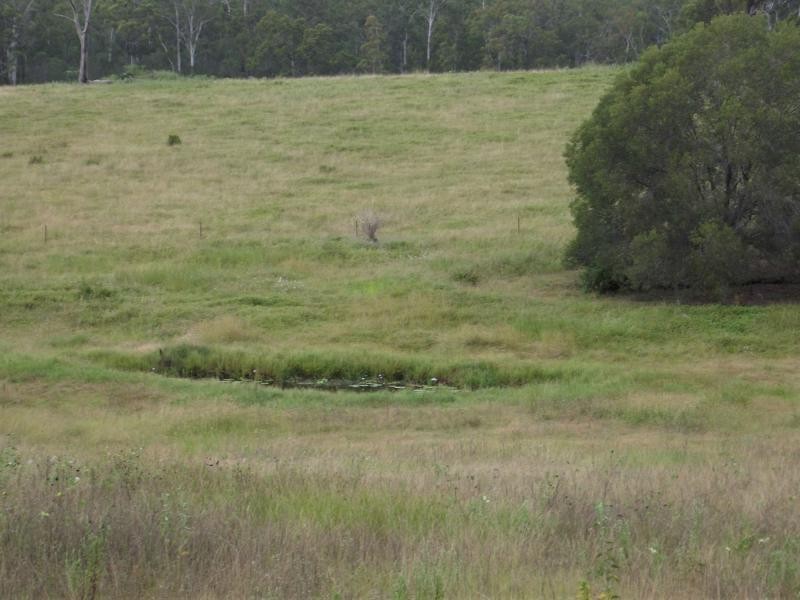 5594 Isis Highway, Childers QLD 4660