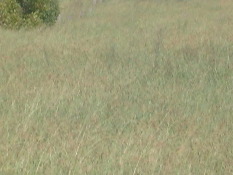 1 Hawes Road, Childers QLD 4660