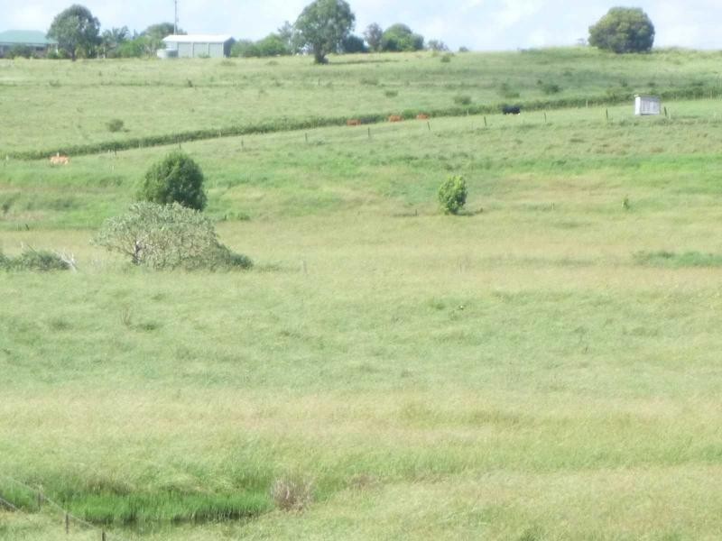 1 Hawes Road, Childers QLD 4660