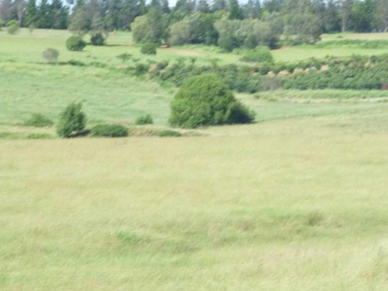 1 Hawes Road, Childers QLD 4660