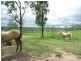 Booyal QLD 4671