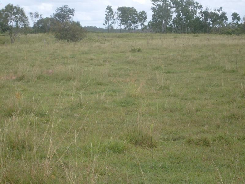 1 TARUHL Road, Morganville QLD 4671