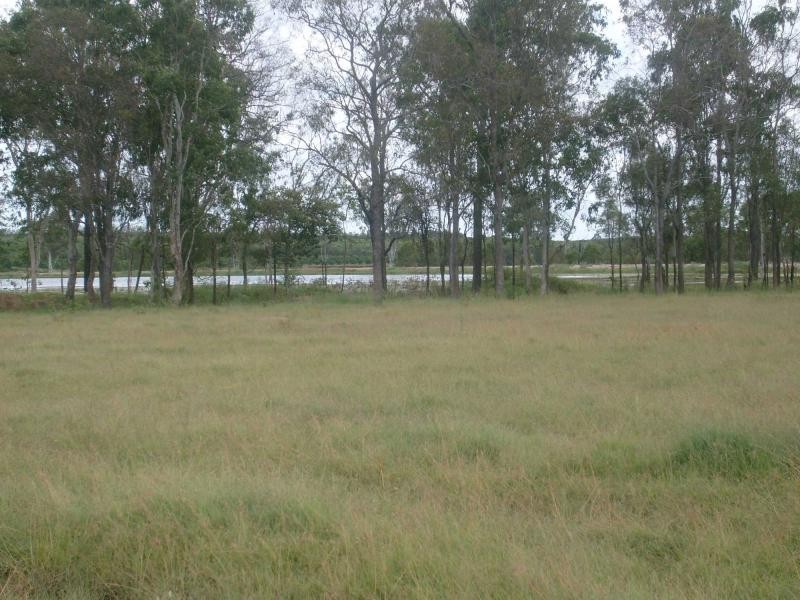 1 MITTLEHAUSERS Road, Morganville, Morganville QLD 4671