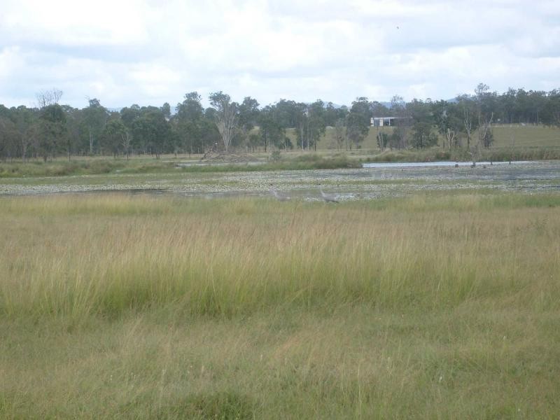 1 MITTLEHAUSERS Road, Morganville, Morganville QLD 4671