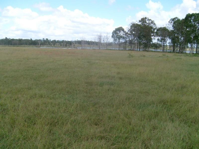 1 MITTLEHAUSERS Road, Morganville, Morganville QLD 4671