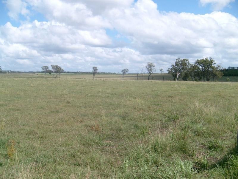 1 MITTLEHAUSERS Road, Morganville, Morganville QLD 4671