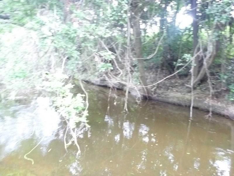 Lot 85 Loeskows Road, Booyal, Booyal QLD 4671