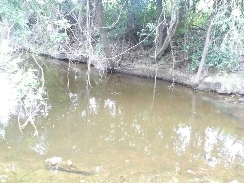 Lot 85 Loeskows Road, Booyal, Booyal QLD 4671