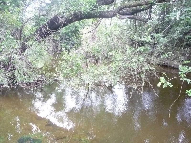 Lot 85 Loeskows Road, Booyal, Booyal QLD 4671