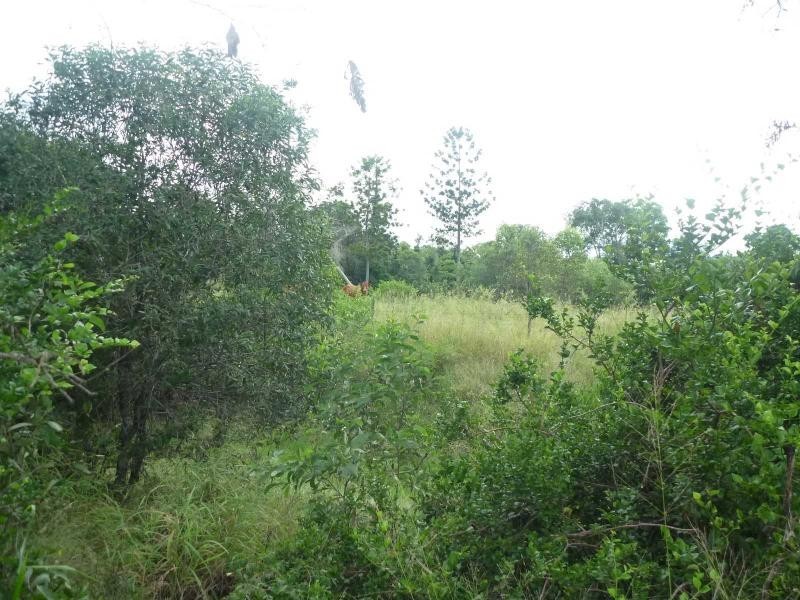 Lot 85 Loeskows Road, Booyal, Booyal QLD 4671