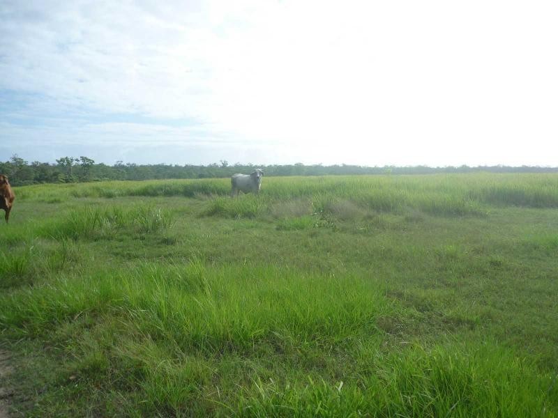 Howard QLD 4659