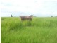 Howard QLD 4659