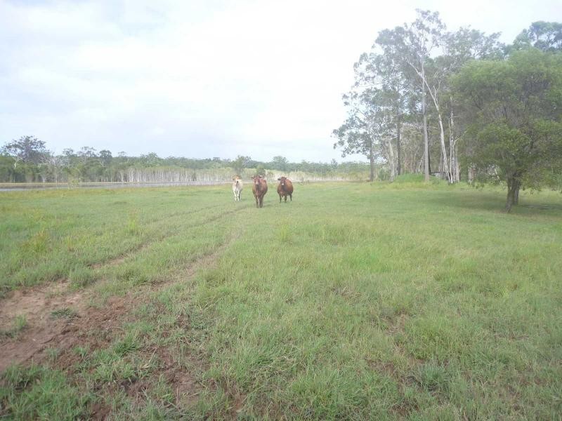 Howard QLD 4659