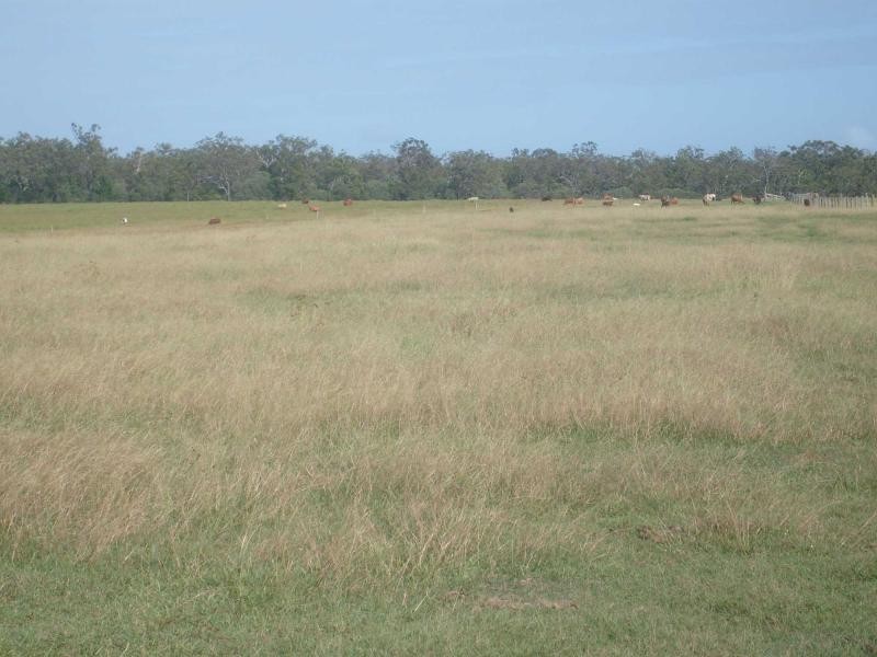 Howard QLD 4659