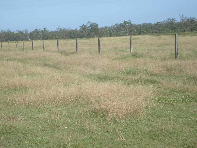 Howard QLD 4659