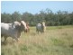 Howard QLD 4659