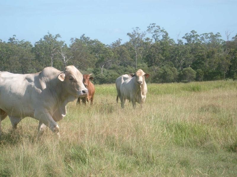 Howard QLD 4659