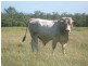 Howard QLD 4659