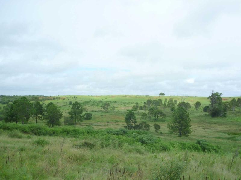 North Isis QLD 4660
