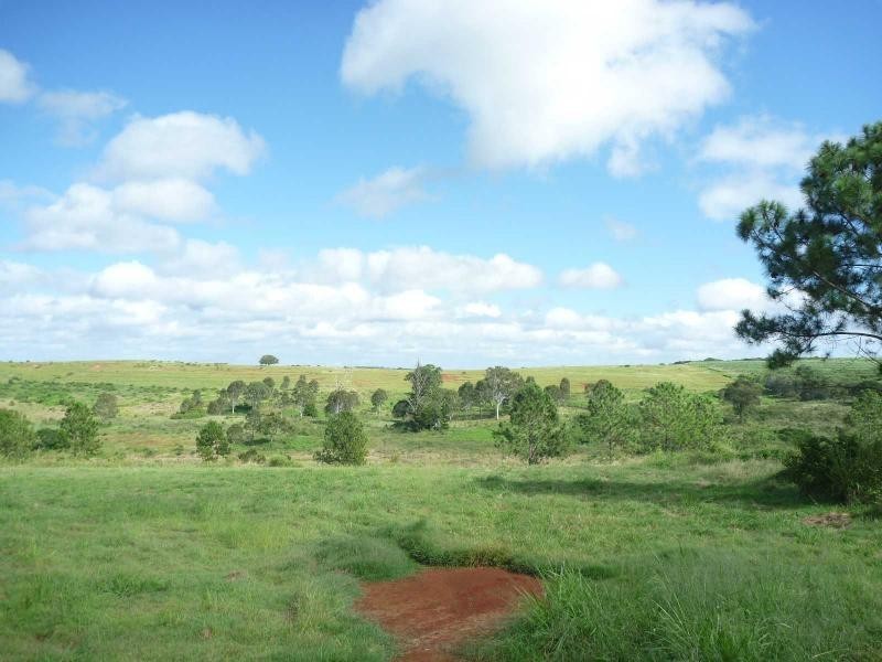 North Isis QLD 4660