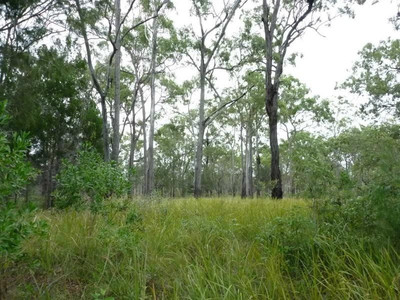 370 Devils Elbow Road, Buxton QLD 4660