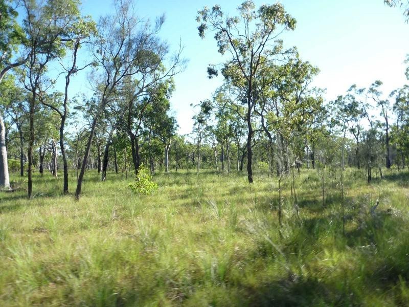 370 Devils Elbow Road, Buxton QLD 4660