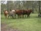 369 RINGWOOD Road, Booyal QLD 4671