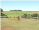 2A Macrossan Street, Childers QLD 4660