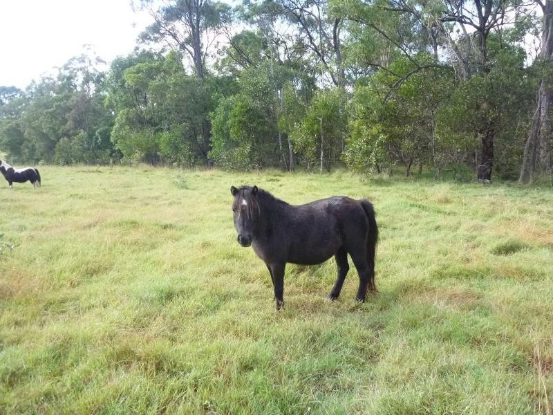 43 Greci Road, Childers QLD 4660