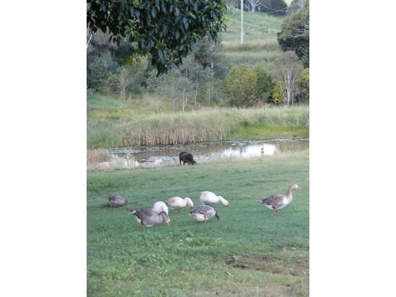 Apple Tree Creek QLD 4660