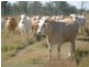 Morganville QLD 4671