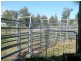 Morganville QLD 4671