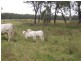Morganville QLD 4671