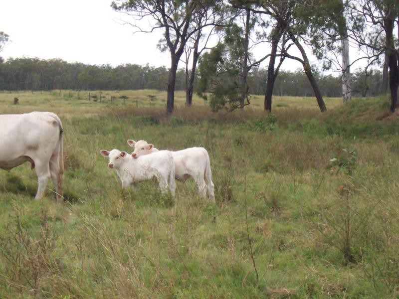 Morganville QLD 4671