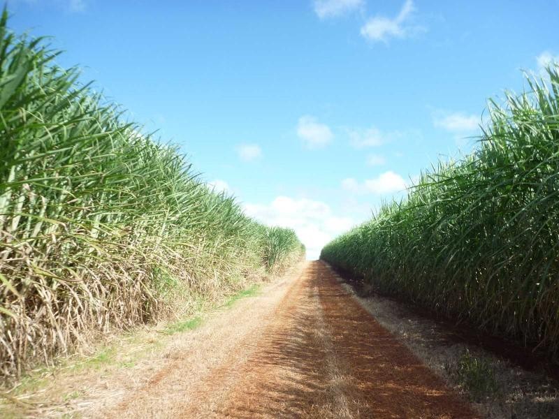 North Isis QLD 4660