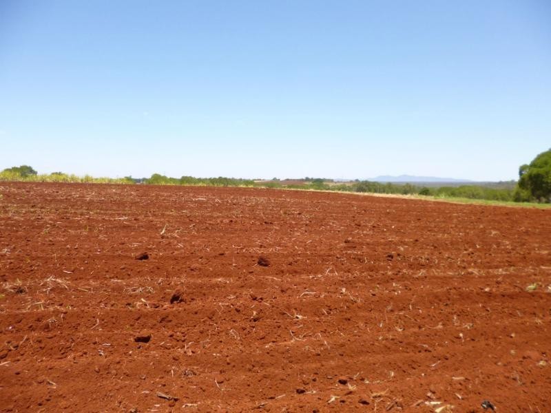 North Isis QLD 4660